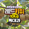 [예약판매] 제주 레드키위 [특대과] 2Box (10Kg, 특대 90과 전후) 산지직송 초고당도 홍다래 제주키위 [원산지:국내산(제주특별자치도 서귀포시)]