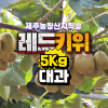 [예약판매] 제주 레드키위 [대과] 1Box (5Kg, 대 55과 전후) 산지직송 초고당도 홍다래 제주키위 [원산지:국내산(제주특별자치도 서귀포시)]