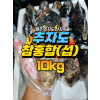 추자도 참홍합 [섭] [원산지:국산(제주특별자치도 제주시 추자도)] 특대 사이즈 10kg 1박스 [무료배송]