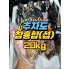 추자도 참홍합 [섭] [원산지:국산(제주특별자치도 제주시 추자도)] 20kg 1박스 [무료배송]