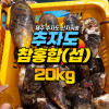 추자도 참홍합 [섭] [원산지:국산(제주특별자치도 제주시 추자도)] 특대 사이즈 20kg 1박스 [무료배송]