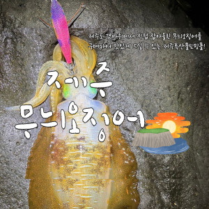 갓 잡아올린 당일바리 제주 무늬오징어 한정 판매(냉동판매)